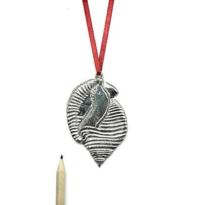 North Carolina Scotch Bonnet Ornament for Christmas Tree - Metal NC State Seashell - Beach Lover Gift Ideas 41aTUo7vfgL