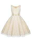 HOTOUCH Lovely Mesh Lace Pageant Wedding Flower Girl Dress (4Y-11Y)