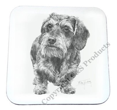Mike Sibley Wire Haired Dachshund Beverage Coaster Amazon Co Uk