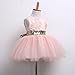 HOTONE Newborn Toddler Baby Girls Floral Sleeveness Lace Princess Dresses Tutu Sundress (1-2T, Pink)