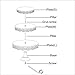 VILAVITA Round Cupcake Stand Dessert Tower Iron Cupcake Holder Display Stand for Wedding Birthday Party Celebration (3-Tier White)