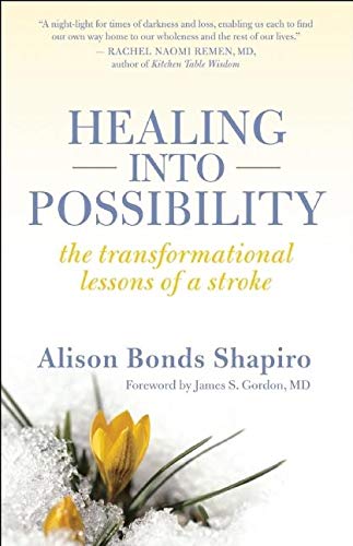 Healing into Possibility: The Transformational Lessons of a Stroke by Alison Bonds Shapiro