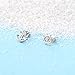LUHE Anchor Stud Earrings Sterling Silver Hypoallergenic Rudder Studs Nautical Theme Anchor Earrings Jewelry for Women Unisex