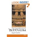 The Foundations of Buddhism (Opus S)