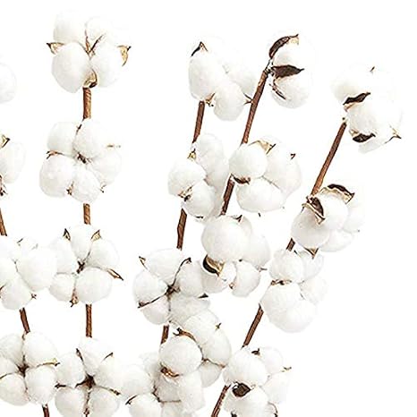 Buy Slb Works 6 Pack 27 Inch Cotton Stems Farmhouse Decor Rustic