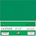 Clear Path Paper - Green Cardstock - 12 x 12 inch - 65Lb Cover - 25 Sheets
