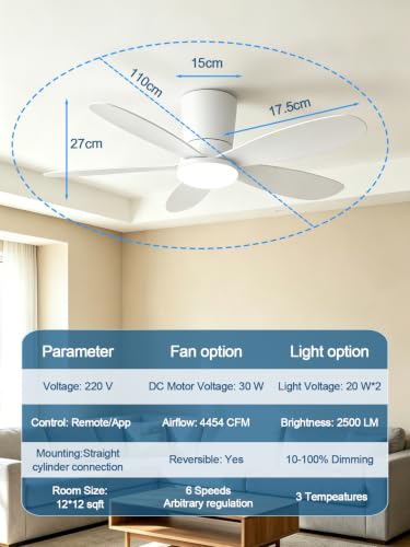 AILRINNI Ventilateur de Plafond 107 CM avec Lumière RGB, Bas Profil Encastrable, Télécommande et APP, 5 Pales Réversibles, RGB+3 Températures de Couleur, Dimmable Ventilateur LED pour Salon Chambre