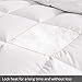 Emolli All Season Queen Comforter Summer Soft Quilted Duvet Queen, Duvet Insert Queen, Machine Washable, Stand-Alone Comforter(Queen-88x88inch)