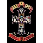 Flagline Guns N Roses - Appetite for Destruction Textile Poster - 30" x 40"