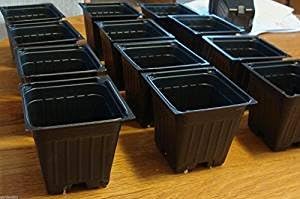 60 Seed Starter Plastic Flower Nursery Plant Pots