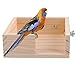 Pet Bird Perch Parakeet Parrot Stand Platform Food Feeder Corner Desk Small Animal Bird Parakeet Playground Stands for Gerbil Hamster Budgie Cockatiel Parrot Rat Parakeet Cage Stands Accessories Toysthumb 2