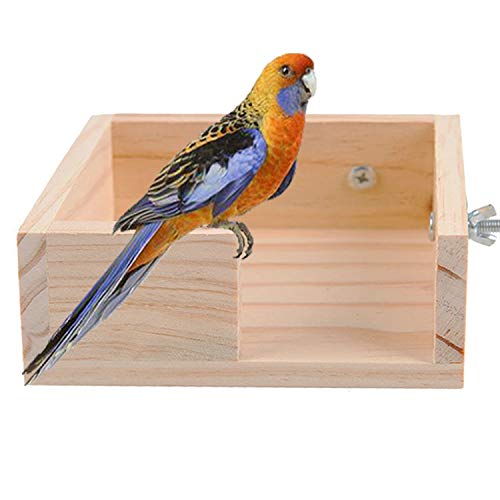 Pet Bird Perch Parakeet Parrot Stand Platform Food Feeder Corner Desk Small Animal Bird Parakeet Playground Stands for Gerbil Hamster Budgie Cockatiel Parrot Rat Parakeet Cage Stands Accessories Toys