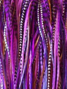 Seven 7"-11" Purple, Violet, Grizzly & Brown Color Feathers Salon Quality !7 Feathers