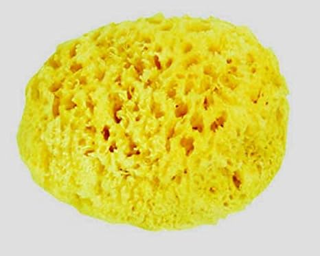 Bebe Confort Eponge Naturelle Naissance Collection 10 Amazon Fr Bebes Puericulture Bebe Confort Eponge Naturelle Naissance Collection 10 Amazon Fr Bebes Puericulture