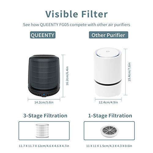 QUEENTY Mini Air Purifier - Desktop Air Cleaner with True HEPA Filter Odor Allergies Eliminator for Smoke, Dust, Home, Office and Pets FG05