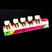 Easyinsmile Dental Periodontal Disease Assort Teeth Model Teaching Education Study Tooth Model