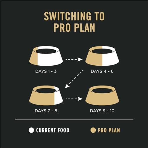 PURINA PRO PLAN SENSITIVE SKIN AND STOMACH DRY DOG FOOD SENIOR ADULT 7 PLUS SALMON AND RICE FORMULA – 4 LB. BAG