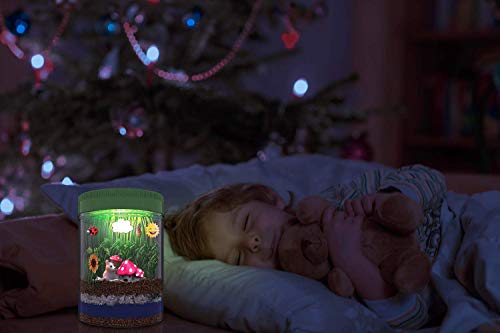 5 Terrarium+Customized+Educational+Birthday+Children