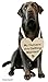 Engagement Photo Prop Sign - My Humans are Getting Married - Engagement Gifts - Bride to Be - Engaged - Engagement Gifts for Couples