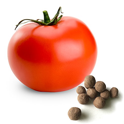 20 Tomato Seed Balls (Ace 55)- Herb & Vegetable Seed Bombs to make gardening fun and simple! 20 Tomato Seed Balls (Ace 55)- Herb & Vegetable Seed Bombs to make gardening fun and simple!