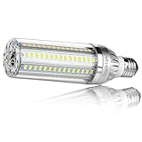 25W Super Bright Corn LED Light Bulb(250 Watt Equivalent) - E26 Base 2900Lumen 6500K Daylight White for Large Area Commercial Ceiling Light - Garage Warehouse Workshop Yard Porch Street Lighting