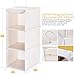 MaidMAX 3 Tiers Cloth Hanging Shelf for Closet Organizer with 2 Metal Hooks, Foldable, Beige, 24 Inches High