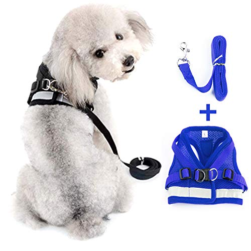 Kamots Beauty Escape Proof Cat Harness and Leash for Walking Adjustable Soft Mesh Pet Vest with Lead for Kitten Puppy Rabbit -(S,Blue)