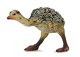 CollectA Wildlife Ostrich Chick - Walking Toy Figure - Authentic Hand Painted Model