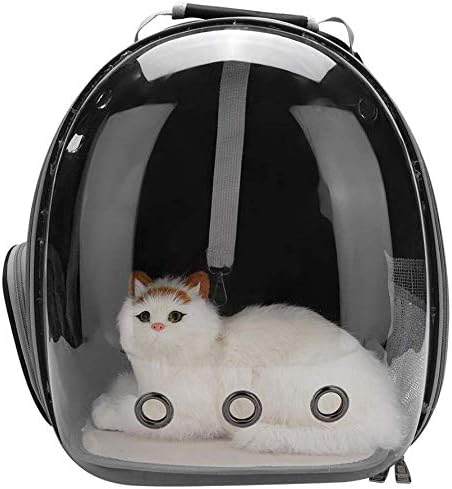 cat bubble backpack amazon