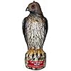 Bird B Gone MMRTH1 Hawk Decoy