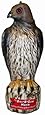 Bird B Gone MMRTH1 Hawk Decoy