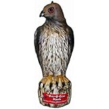 Bird B Gone MMRTH1 Hawk Decoy