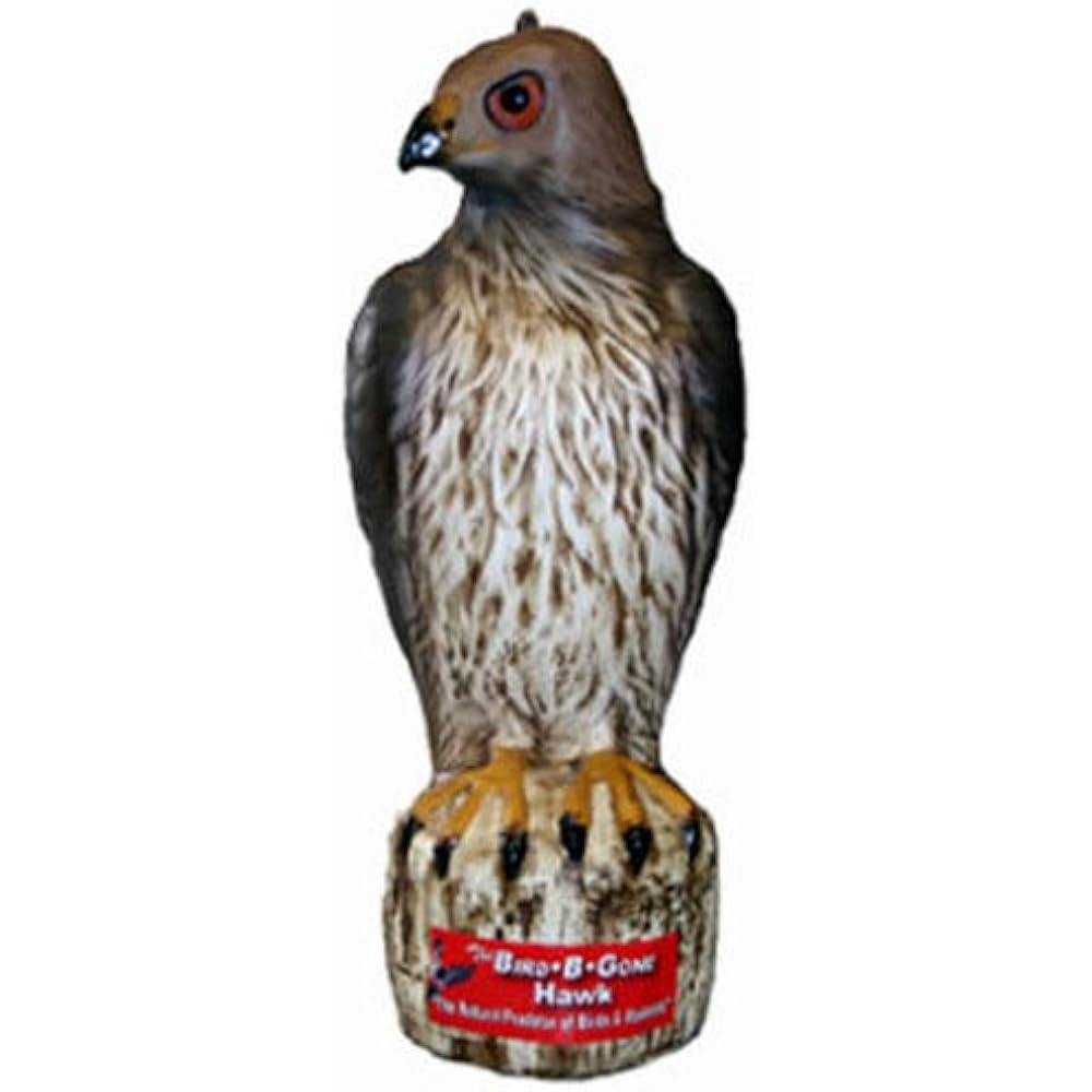 Hawk Statue Birds Sculpture Decoy 16" Lifelike Garden Outdoor Porch Decor Lawn 764176090011 eBay