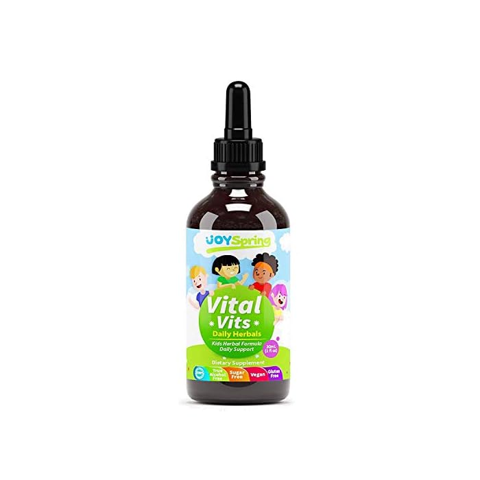 Toddler Vitamins from Herbs - Kids Multivitamin Liquid - Toddler Multivitamins for Immune Support - Naturally Occurring…