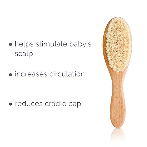 cepillo de pelo de madera para bebés de calidad natemia para recién nacidos y niños pequeños | cerdas suaves naturales de cabra | ideal para costra láctea | regalo perfecto para el registro de bebés