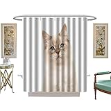 luvoluxhome Shower Curtain Collection by Pretty rag Doll Baby cat Kitten with Blue Eyes Custom Made Shower Curtain W69 x L84