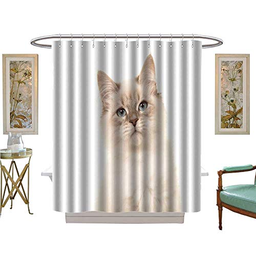 luvoluxhome Shower Curtain Collection by Pretty rag Doll Baby cat Kitten with Blue Eyes Custom Made Shower Curtain W69 x L84