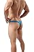 ONEFIT Men's Underwear Striped T-Back Sexy Translucent Underpants,Blue L