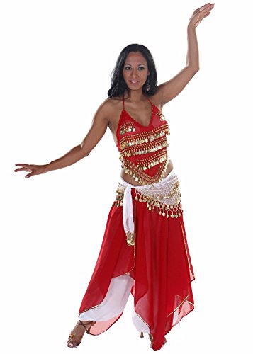 Belly Dance Top, Skirt, Pants & Hip Scarf Halloween Costume Set | Raqs Tonight - Red/Gold - Medium/Large