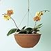 Hanging Flower Pots for Outdoor Plants, Garden Hanging Planters Set of 2(13.2 Inch, Terracotta Color)