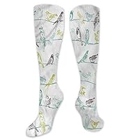 Pattern Socks,Long Socks,Long Socks Men Pack Birds Birds Sitting On Wires 3.3"X19.6"(Long Socks)