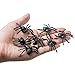 Partay Shenanigans Plastic Spider Toys - 100 Pack Black Realistic Fake Spider Props for Halloween, Prank, Haunted House Decorations 4-5cm