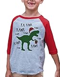 Custom Party Shop Kids Christmas Dinosaur Raglan Shirt Red 5/6T