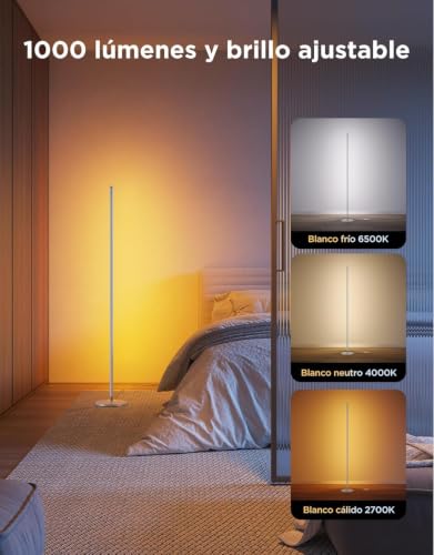 Govee RGBIC Lámpara de Pie LED, Smart Lampara Salon Moderna, Color Plata | Compatible con Alexa y Google Assistant, 16 Millones de Colores DIY, 80+ Modos de Escena, Sincronización Musical, Para Salón