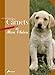 les carnets de mon chien by 