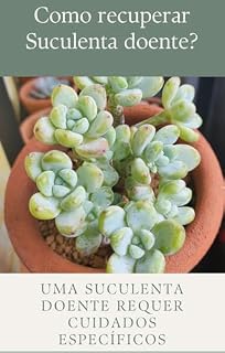 Livro Como recuperar Suculenta doente?