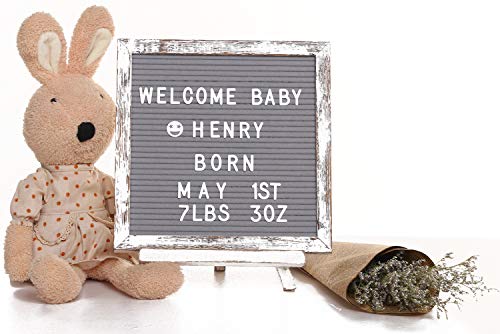 2 AlexBasic+Letter+Changeable+Pre+Cut+Letters