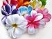 (100) Assorted Hawaiian Plumeria Frangipani Silk Flower Heads - 3
