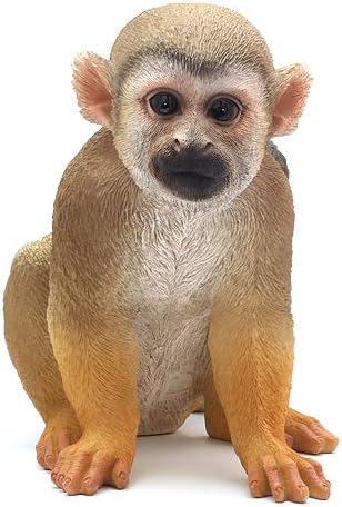 最も好ましい リスザル 画像 リスザル 画像 最も好ましい リスザル 画像 リスザル 画像