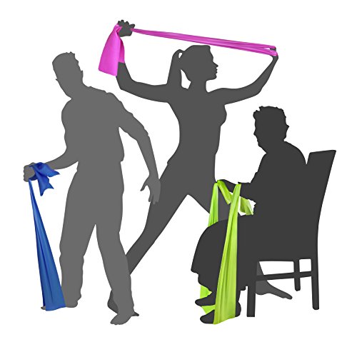 EXERCISE RESISTANCE STRETCH BANDS - Elastic Fitness Home Training Equipment for Men Women Seniors | Workout Kit for Yoga Pilates p90x trx Stretching Tone | Legs Ankle Arms Thigh | LATEX FREE | 6.5ft EXERCISE RESISTANCE STRETCH BANDS - Elastic Fitness Home Training Equipment for Men Women Seniors | Workout Kit for Yoga Pilates p90x trx Stretching Tone | Legs Ankle Arms Thigh | LATEX FREE | 6.5ft
